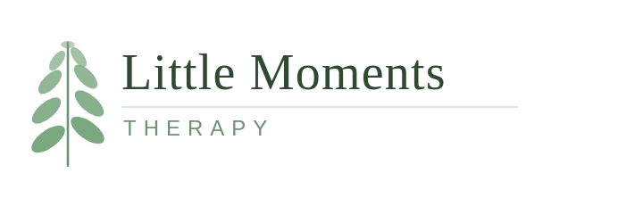 Little Moments Therapy